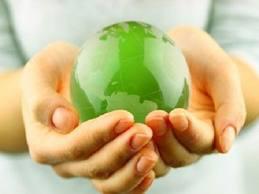 Dry Clean & Green Carpet & Upholstery Cleaning