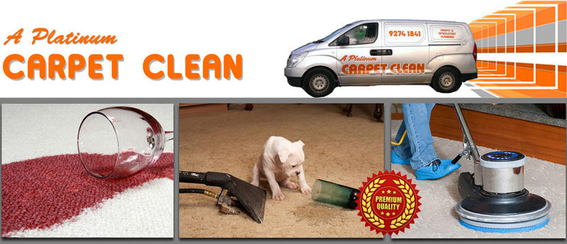 A Platinum Carpet Clean logo