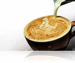Caffe Moda