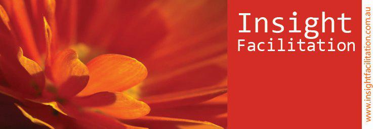 Insight Facilitation
