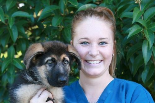 Great Western Animal Hospital