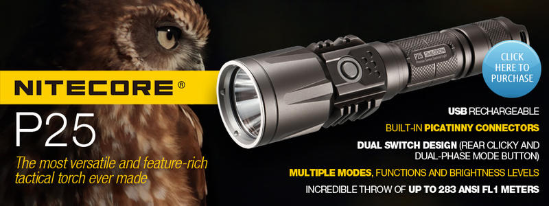 LED Torch Sales