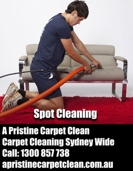 A Pristine Carpet Clean