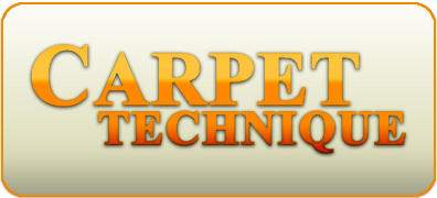 Carpet Technique logo