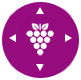 Wine Compass