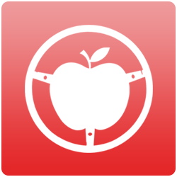 Perth's Best Driving School logo