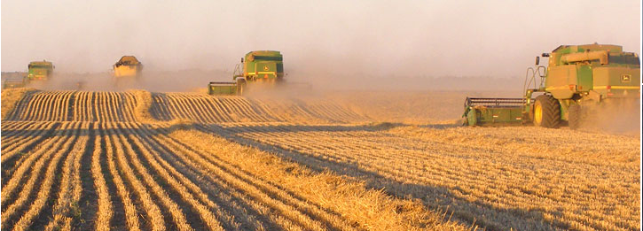 Ag Training Pty Ltd