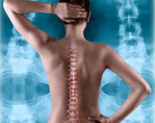 Sydney Essential Health: Bondi Junction