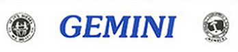 Gemini Diesel Fuel Injection Service Centre