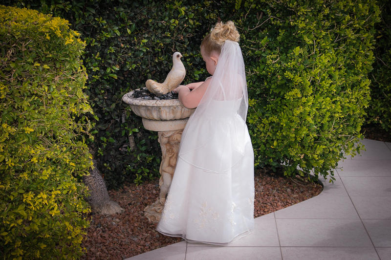 Allan Smailes Photography