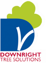 Downright Tree Solutions logo