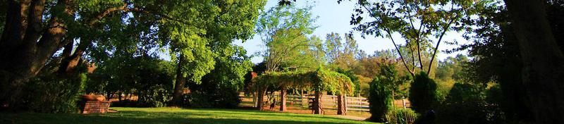 Ranges Tree Service