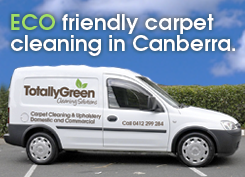 Totally Green Cleaning Solutions