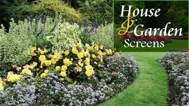 House & Garden Screens