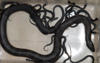Snakebusters logo
