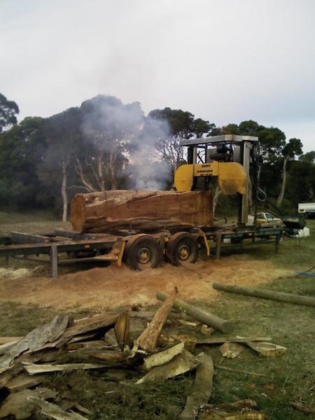 Onsite Bandsaws Salvaved Timber