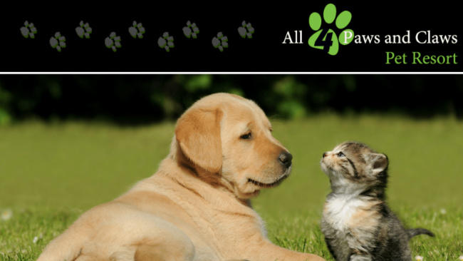 All 4 Paws and Claws Pet Resort