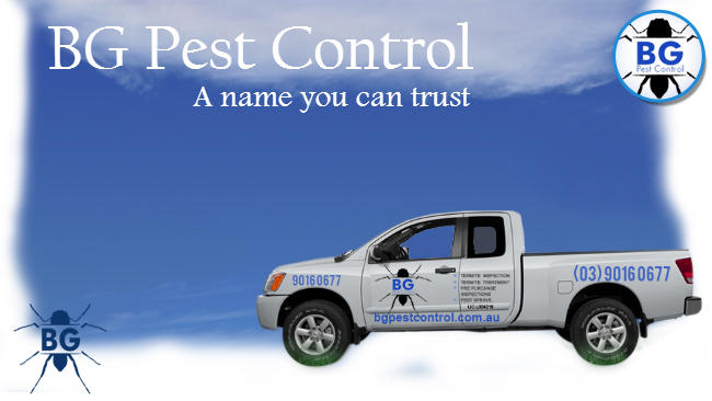 BG Pest Control: Mount Eliza