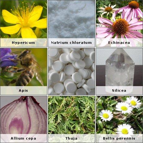 Leanne Wilson: Homeopath