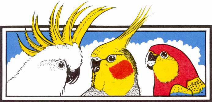 Birdworld
