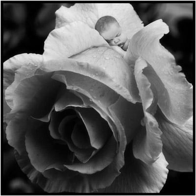 The Latent Image Photography