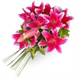 Darrens Flowers: Bayswater