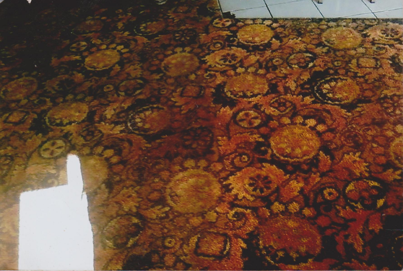 Hardy's Carpet & Cleaning Services