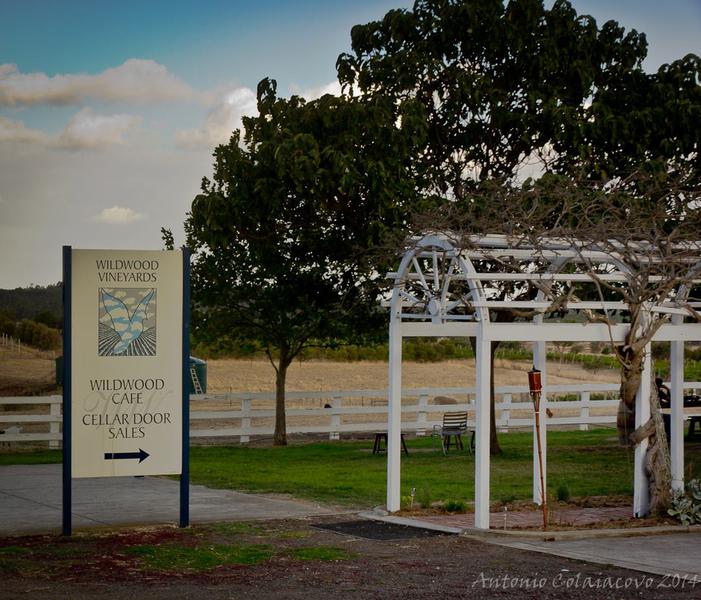 Wildwood Cafe & Vineyards