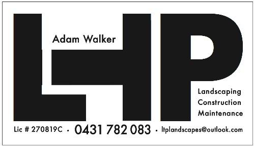 LTP Landscapes