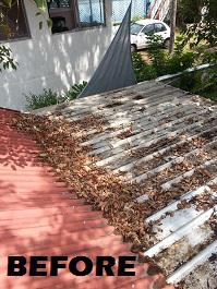 Gutter Clean and Garden