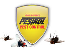 Pestrol Australia