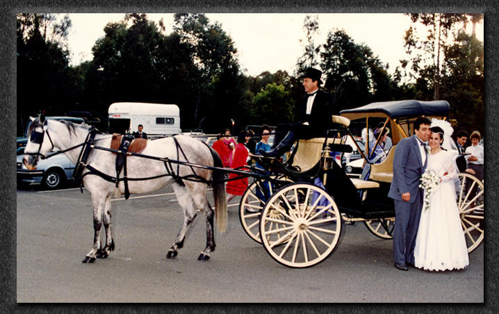 Elite Horse Drawn Carriages