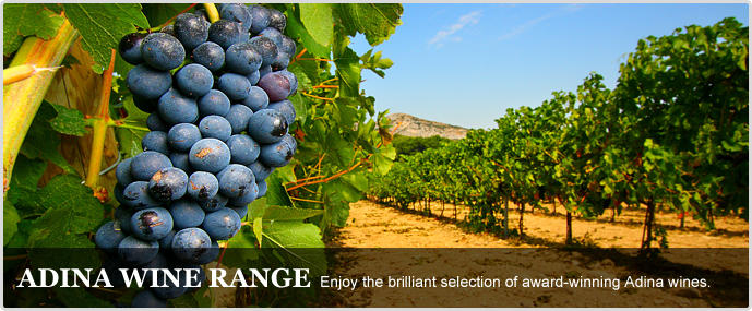 Adina Vineyard