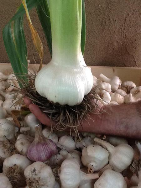 The Strawbale Farm