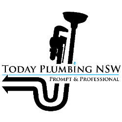 Today Plumbing logo