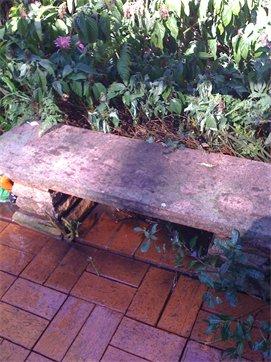 NSW House Washing & Garden Maintenance