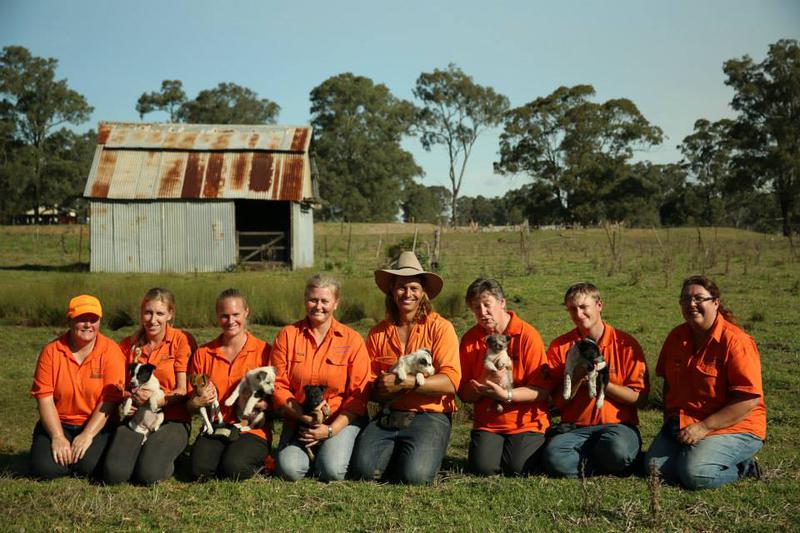 Farmer Dave Dog Centre