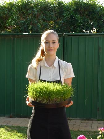 Wheatgrass For Life