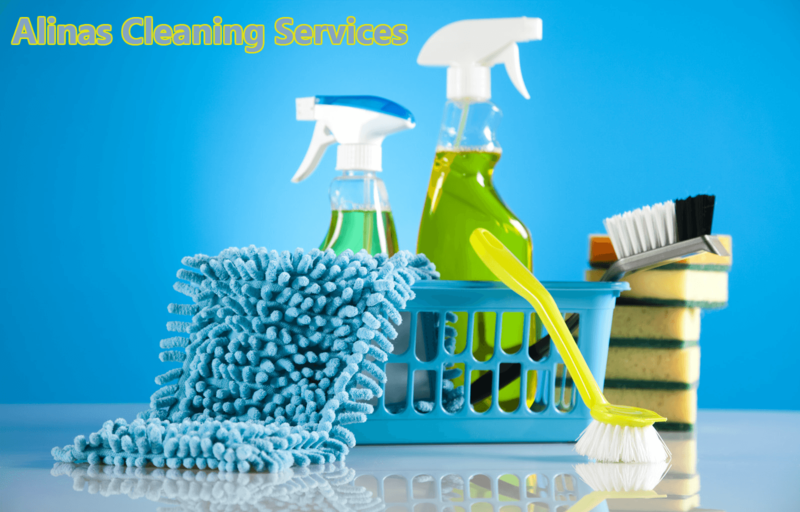 Alinas Cleaning Services