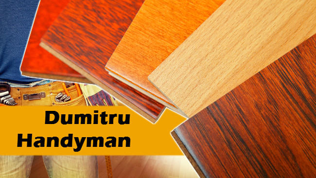 Dumitru Handyman
