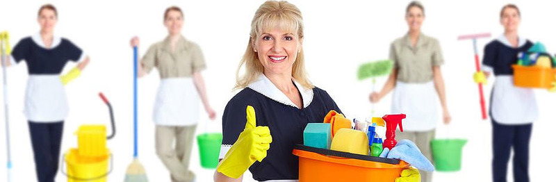 Maid 2 Mop