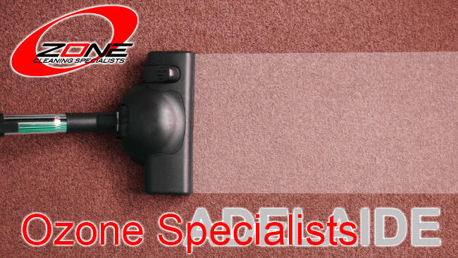 Ozone Cleaning Services: Camden Park