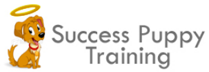 Success Puppy Training