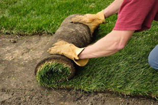 Peter Neil Garden Care