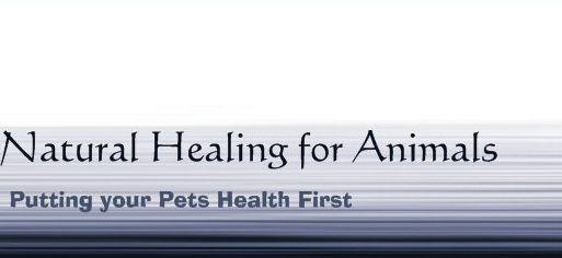 Natural Healing For Animals