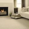 Professional Carpet & Upholstery Cleaning