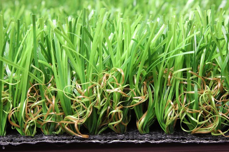 Grass Culture