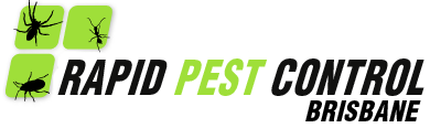 Rapid Pest Control Brisbane