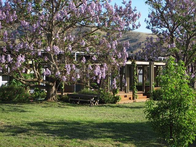 The Pressing Shed Cafe