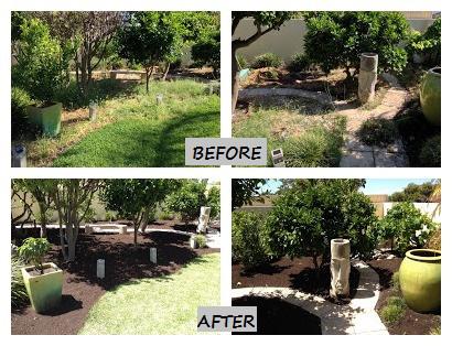 Perth Gardening